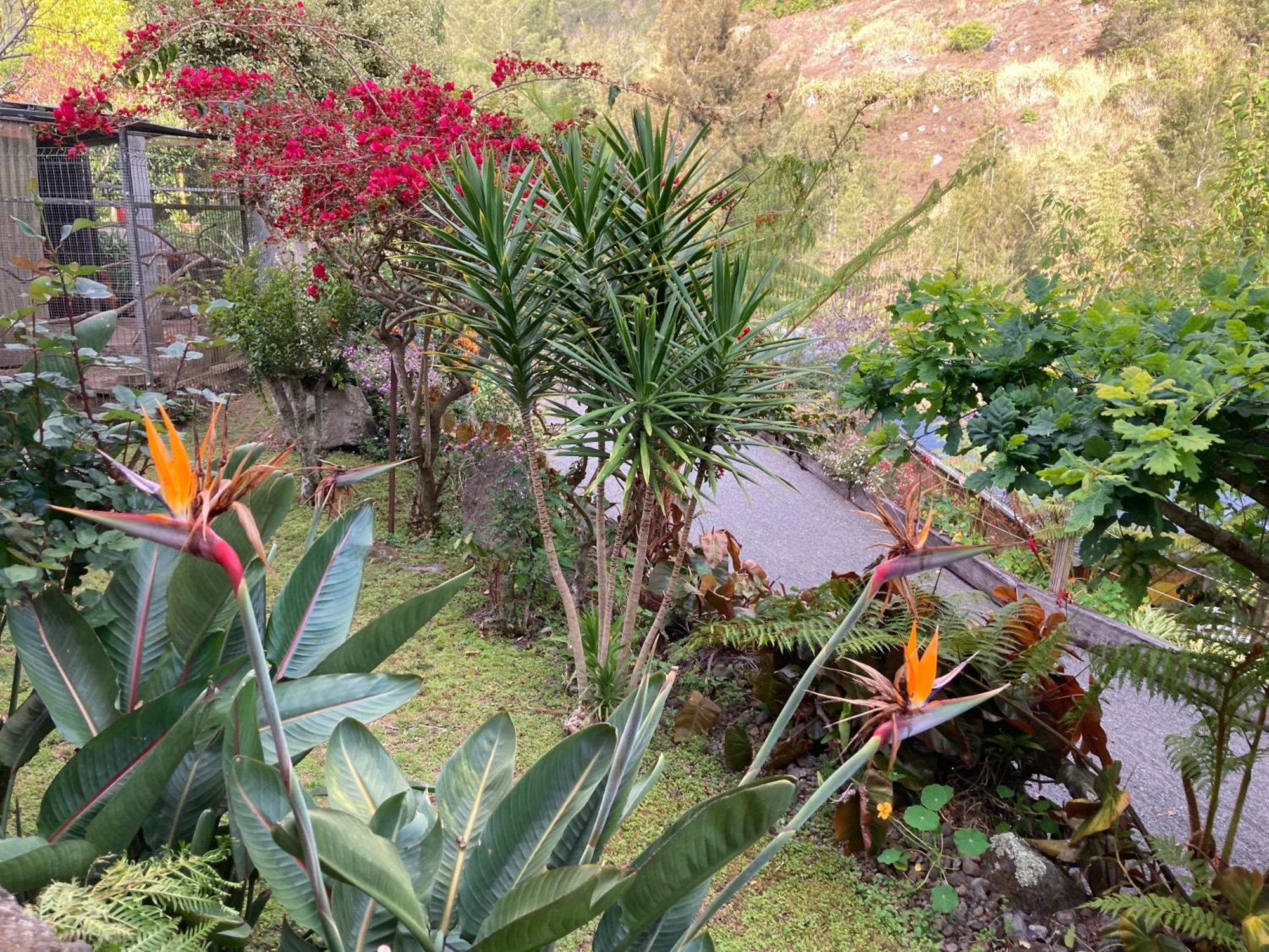 Les Begonias Villa ซีลาโอส ภายนอก รูปภาพ